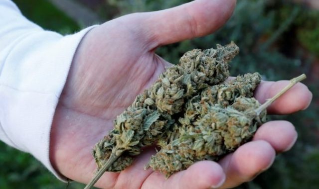 Why You Should Use A Marijuana Pipe: Don’t Lose Out On The Benefits!
