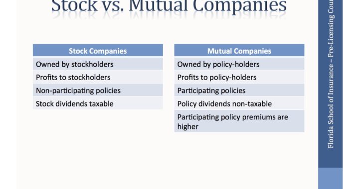 Exploring Ownership Of A Stock Insurance Company: Who Owns A Stock Insurance Company?