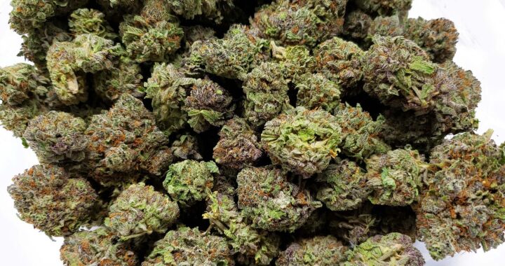 Your Essential Guide to Buying Weed Online in Canada Safely
